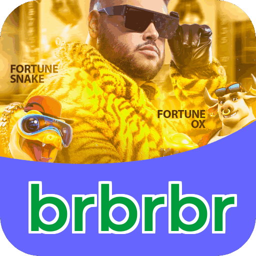 brbrbr Platform